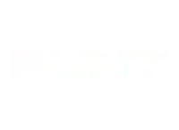 Punt