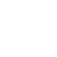 Punt