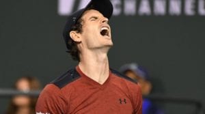 Andy Murray