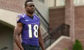 2017 fantasy football wide receiver rankings: 40-31