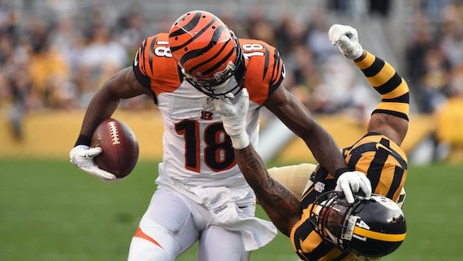 AJ Green Cardinals