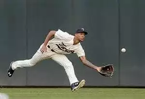 Minnesota Twins