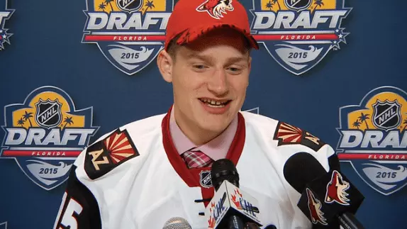Arizona coyotes