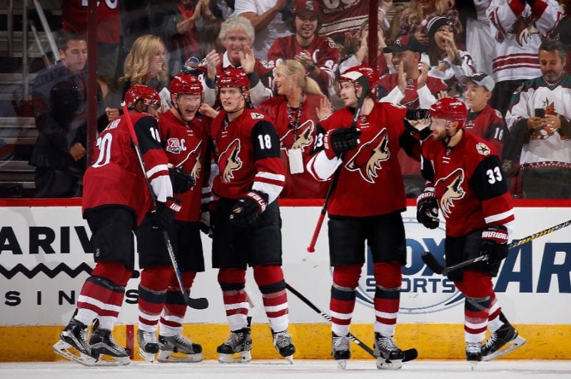 Arizona coyotes