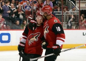 Arizona coyotes