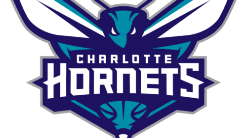 Charlotte Hornets NBA Draft profile