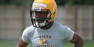 impact true freshmen