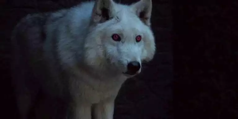 overwatch league game of thrones