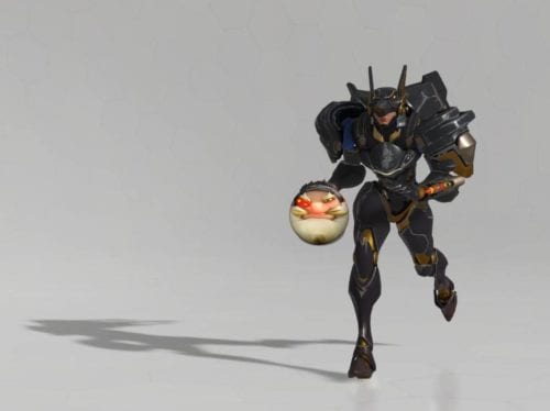 Darwin Torbjornball