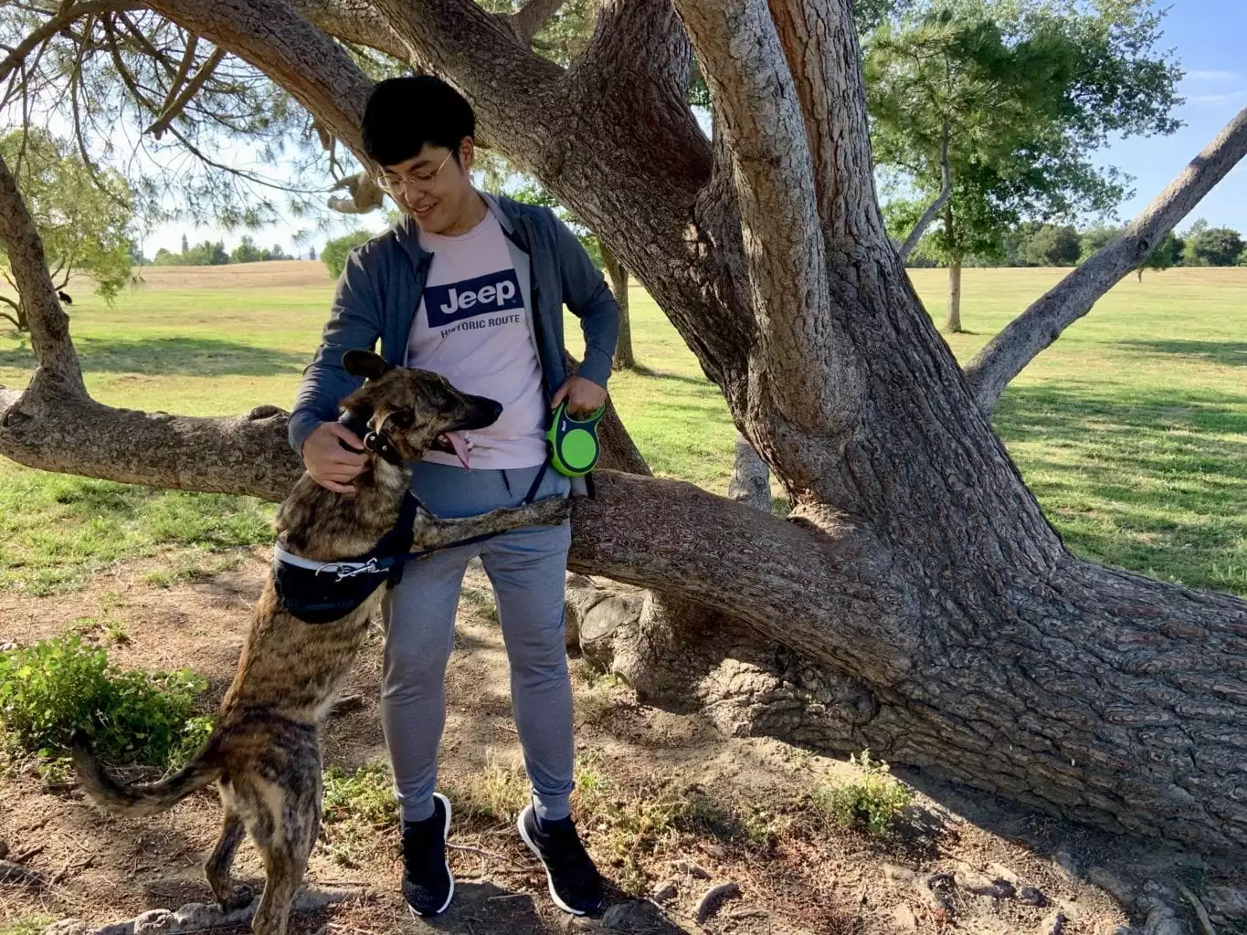 Gamsu dog Uni