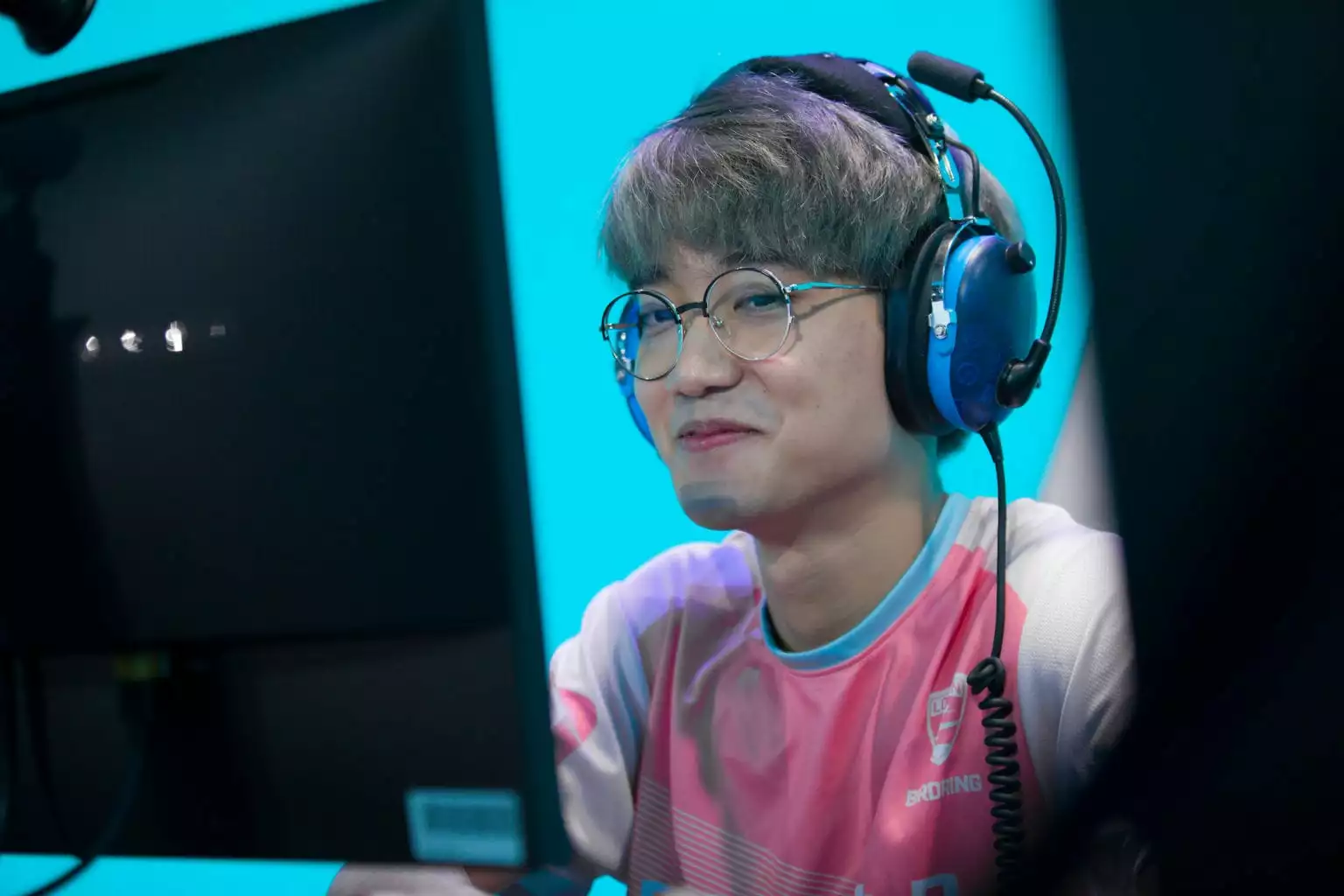 birdring bumper social media