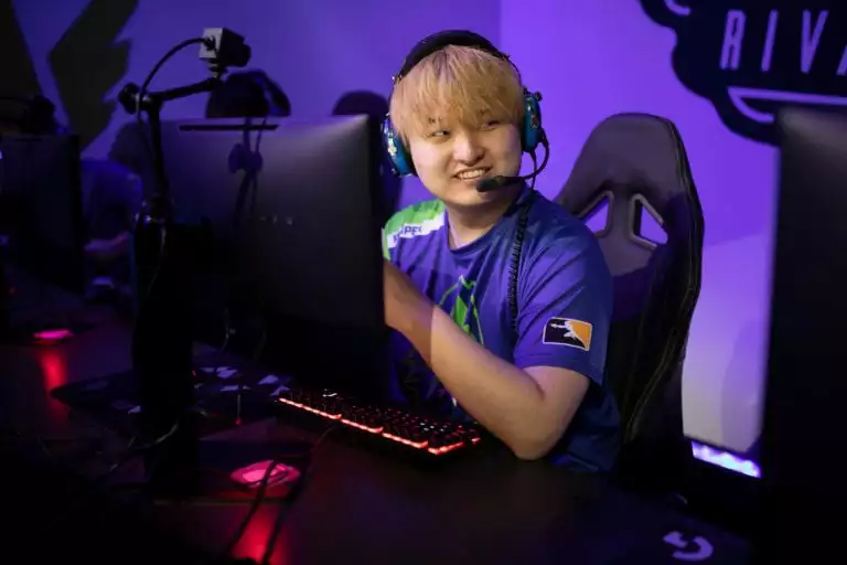 birdring bumper social media