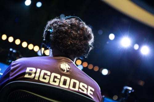 biggoose