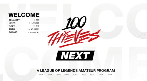 100 Thieves Next