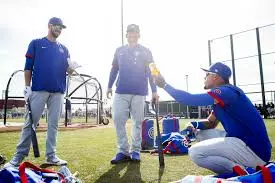 Last Chance Cubs