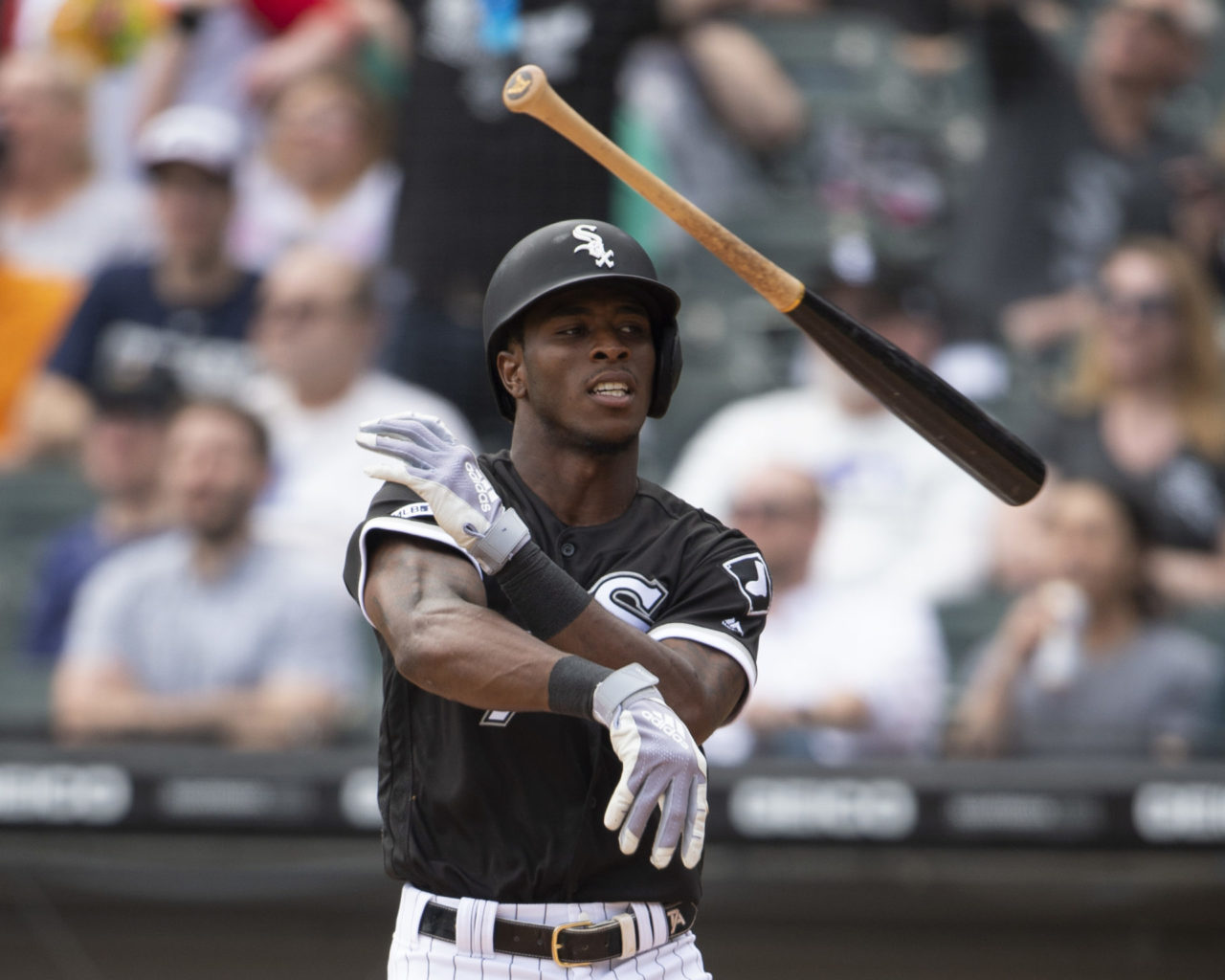 Chicago White Sox 2021 Projected Lineup