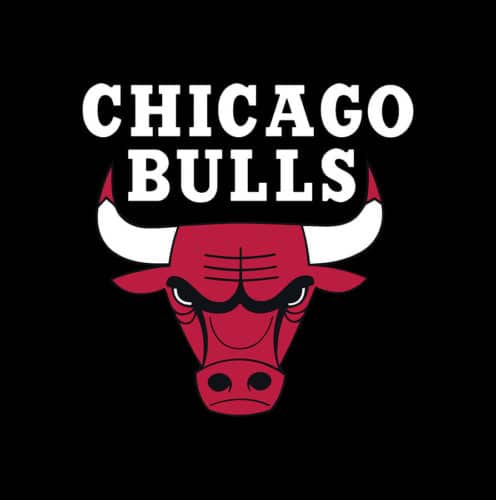 Bulls draft recap