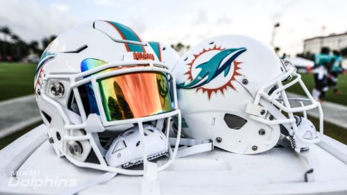 Dolphins Season Overview Week 14