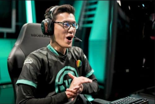 IMT Wildturtle