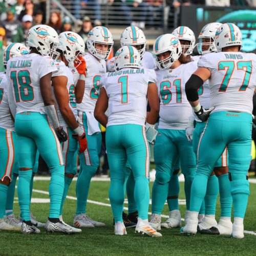 Miami Dolphins Week 13 Preview