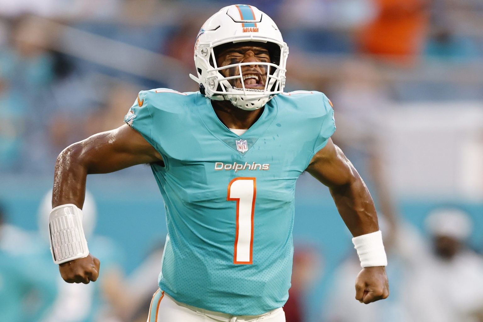 Miami Dolphins Game Preview