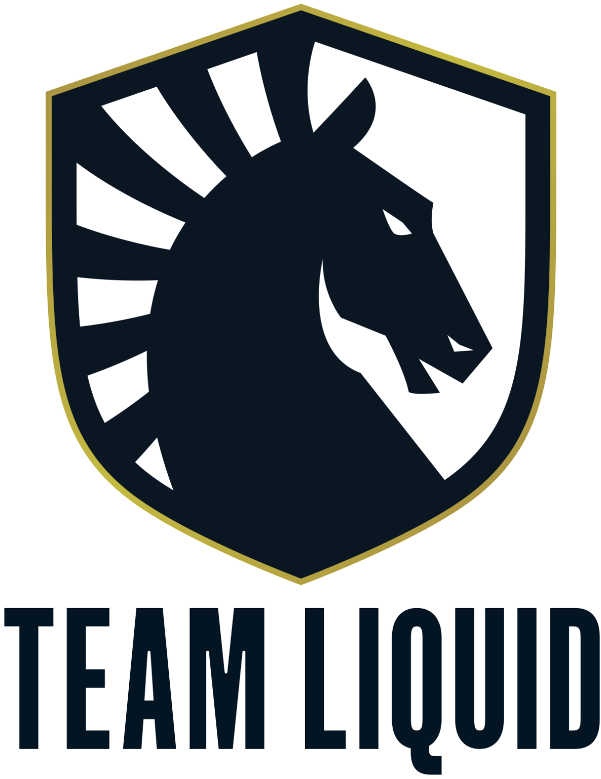 Team Liquid Pyosik