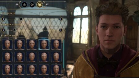 Change Characters Appearance Hogwarts Legacy