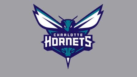 Hornets draft profile