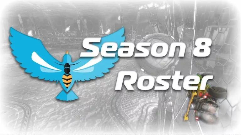 Video: Birds and The Beez- RLCS Season 8 Roster