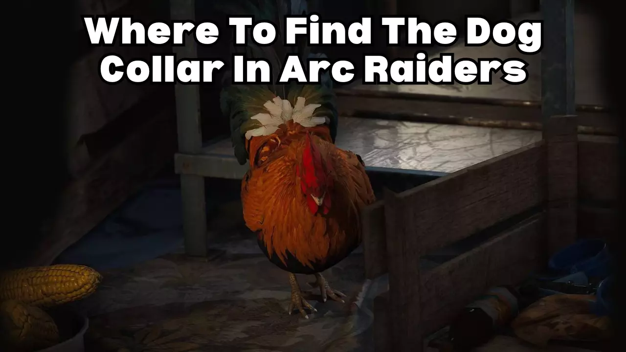 Where To Find Dog Collar In Arc Raiders Where To Find Dog Collar In Arc Raiders