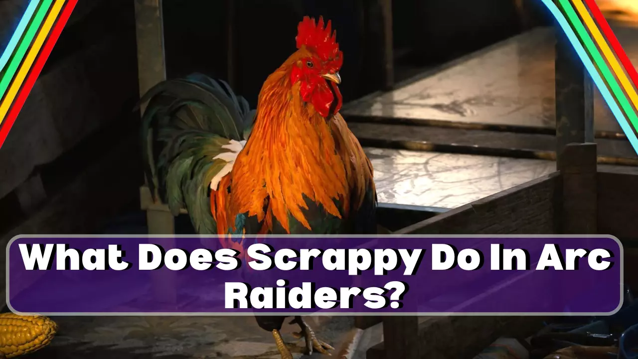 What Does Scrappy Do In Arc Raiders?