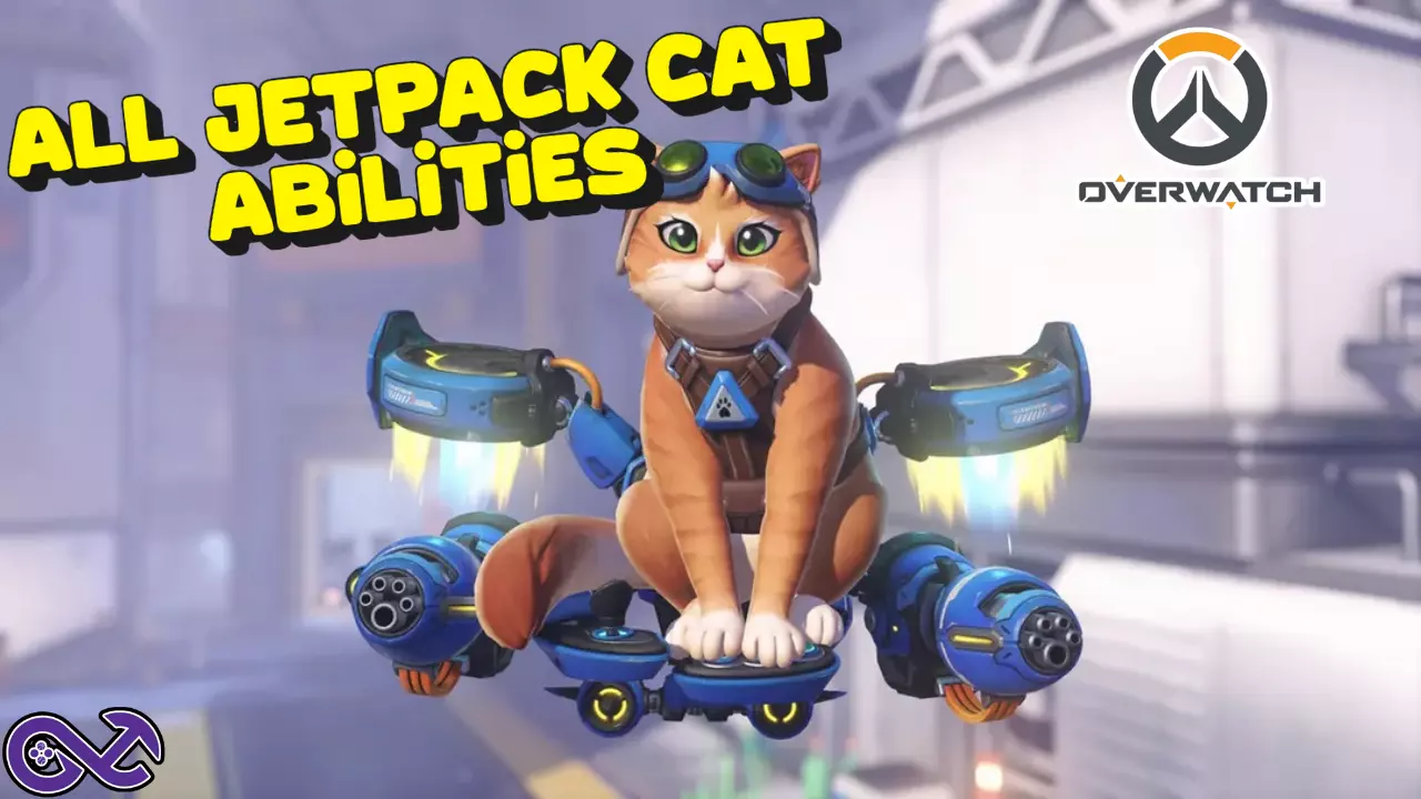 All Jetpack Cat Overwatch Abilities | It Is Real! - The Game Haus
